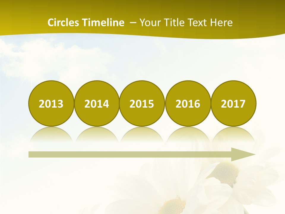 Scenery Health Chamomile PowerPoint Template