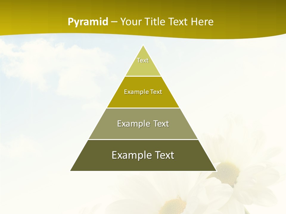 Scenery Health Chamomile PowerPoint Template