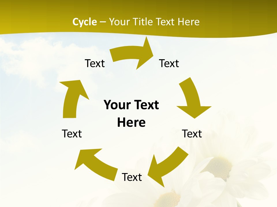Scenery Health Chamomile PowerPoint Template