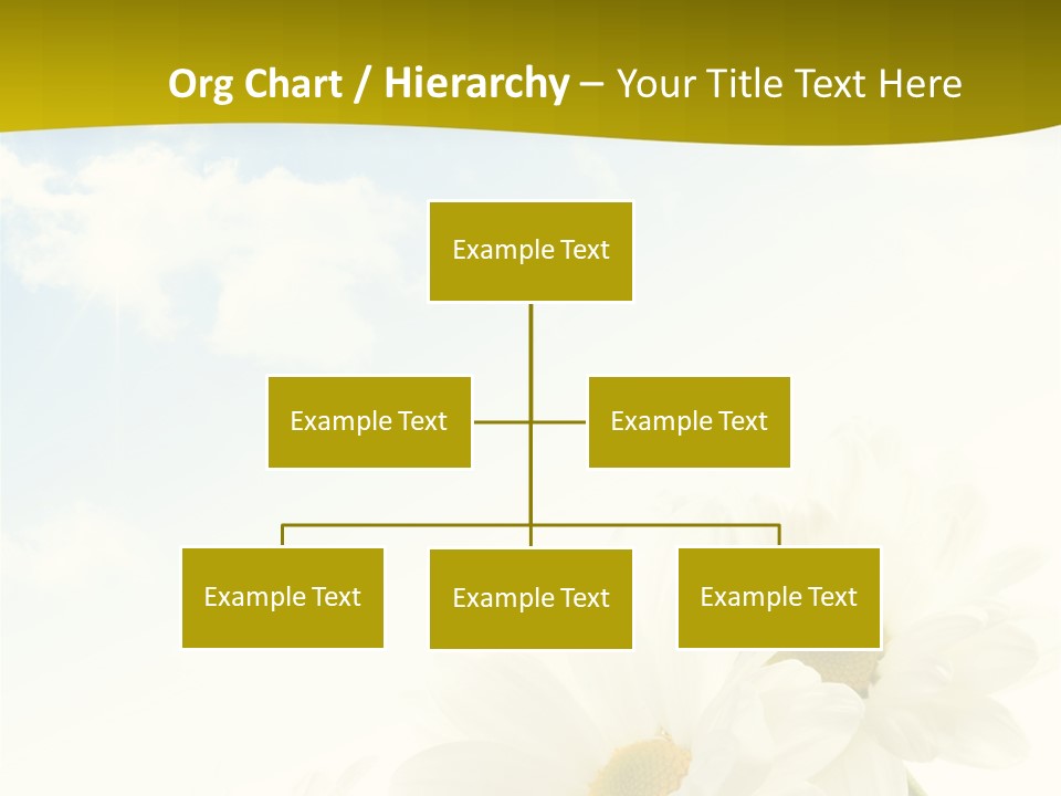 Scenery Health Chamomile PowerPoint Template