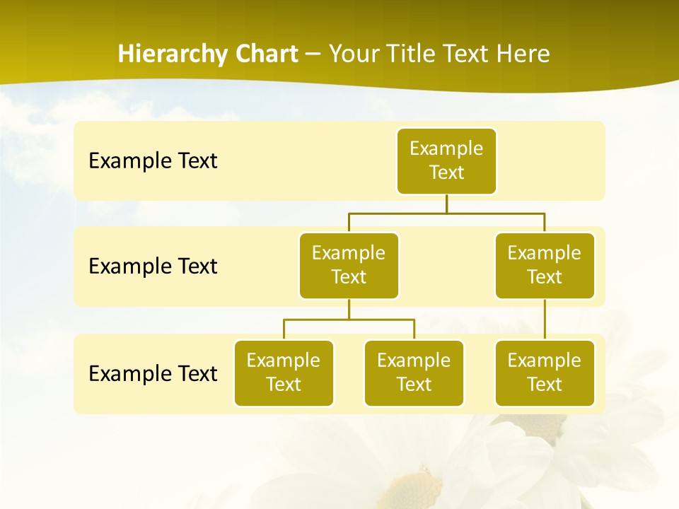 Scenery Health Chamomile PowerPoint Template