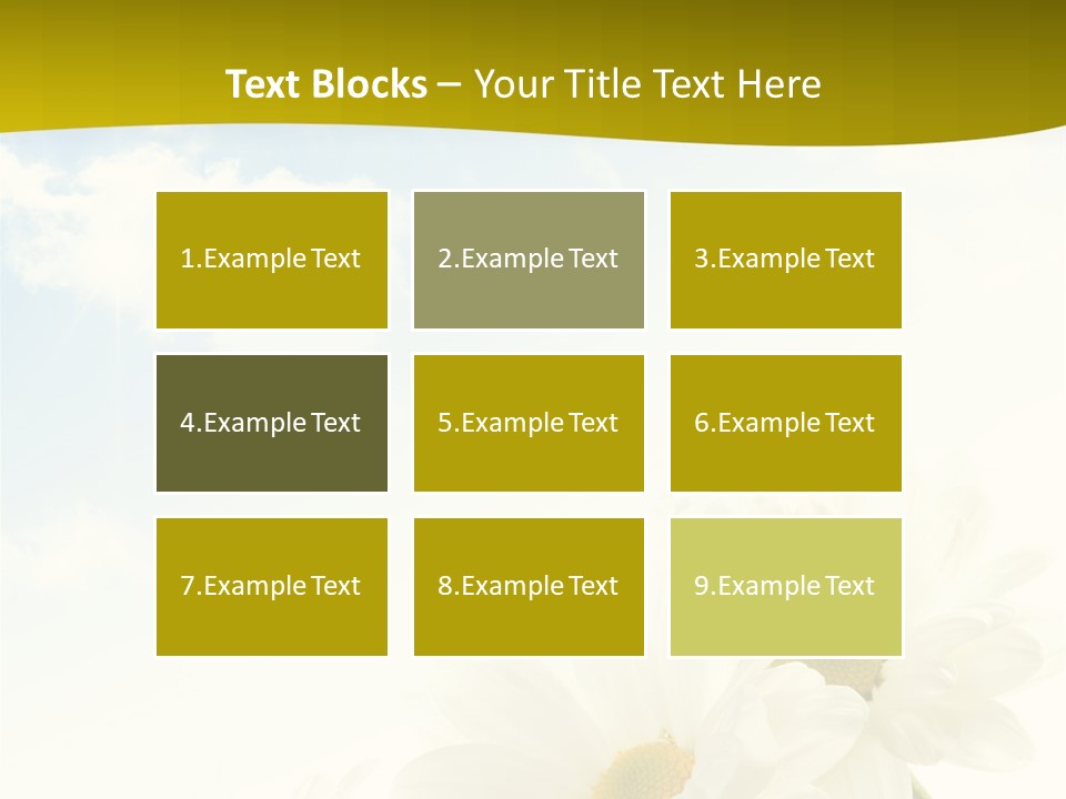 Scenery Health Chamomile PowerPoint Template