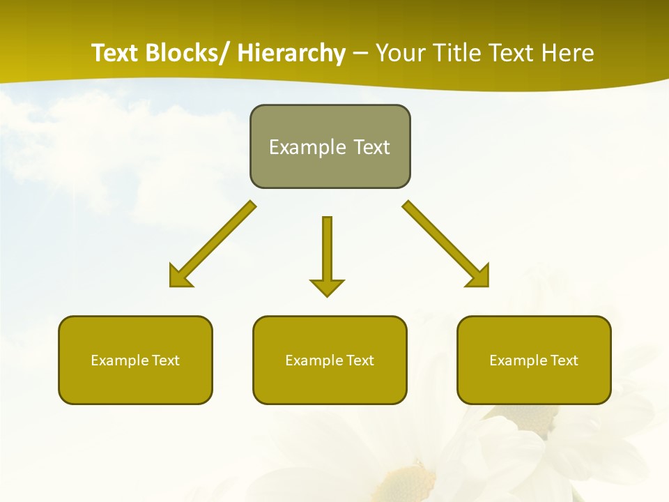 Scenery Health Chamomile PowerPoint Template
