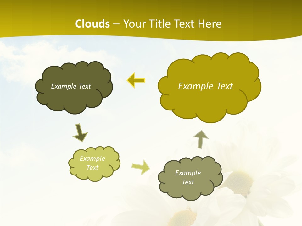 Scenery Health Chamomile PowerPoint Template