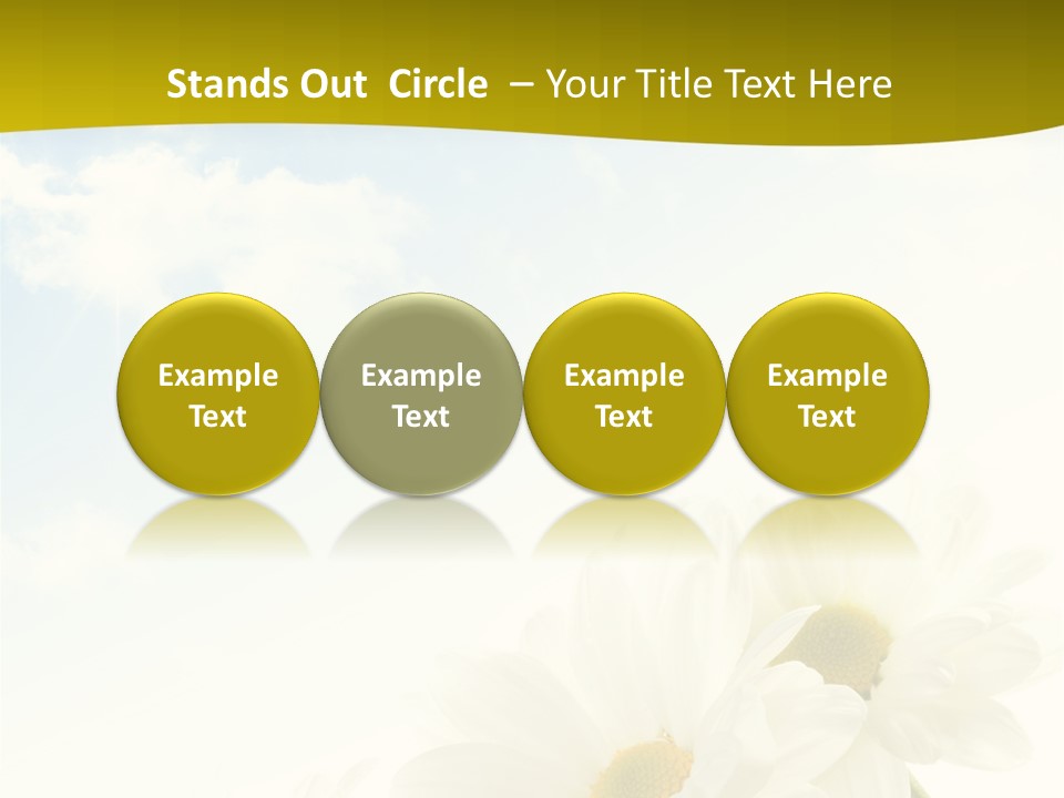 Scenery Health Chamomile PowerPoint Template