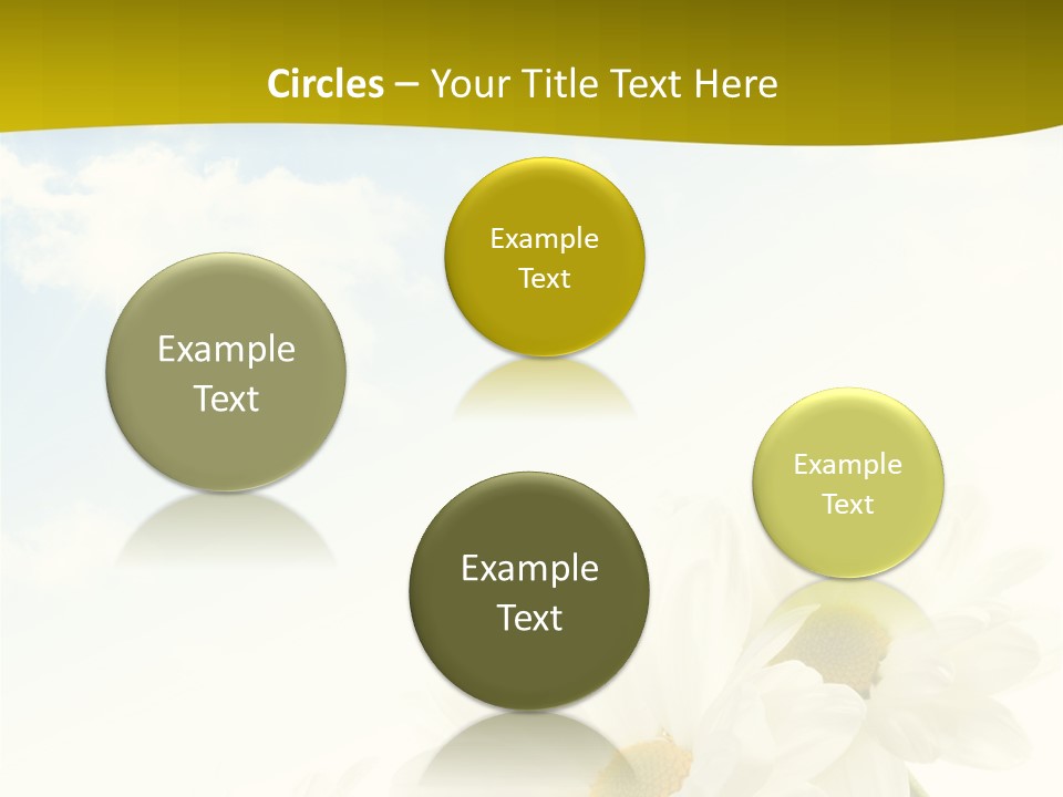 Scenery Health Chamomile PowerPoint Template