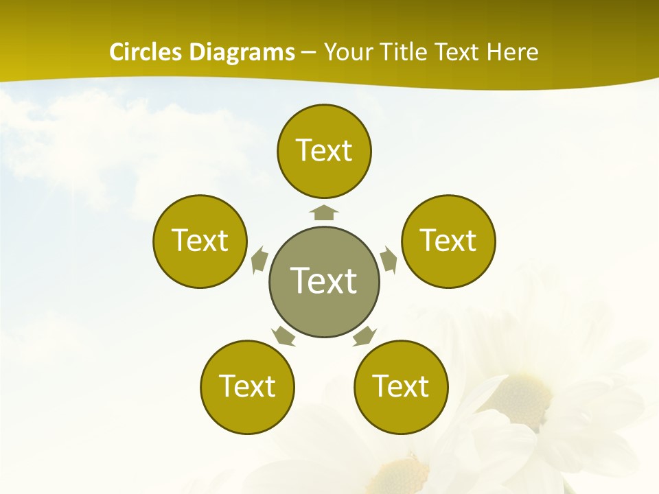 Scenery Health Chamomile PowerPoint Template