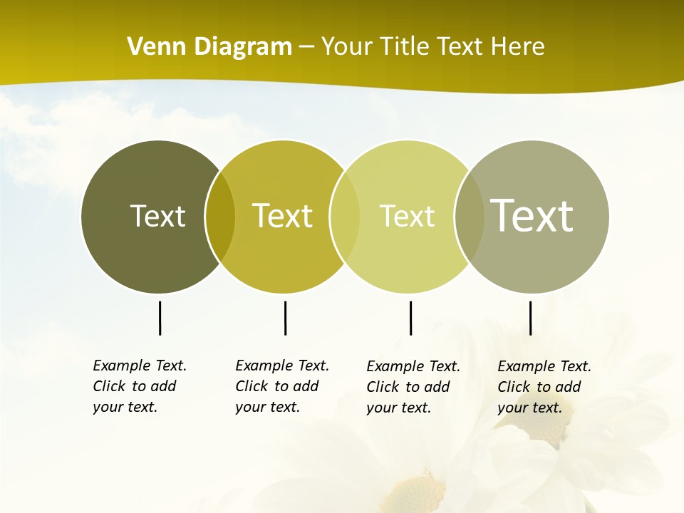 Scenery Health Chamomile PowerPoint Template