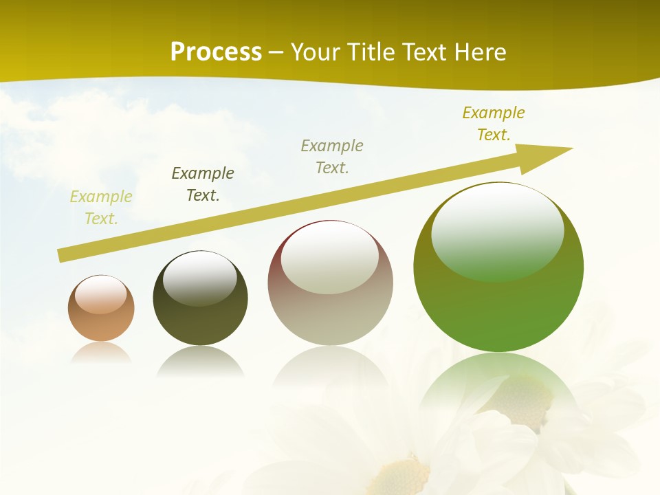 Scenery Health Chamomile PowerPoint Template