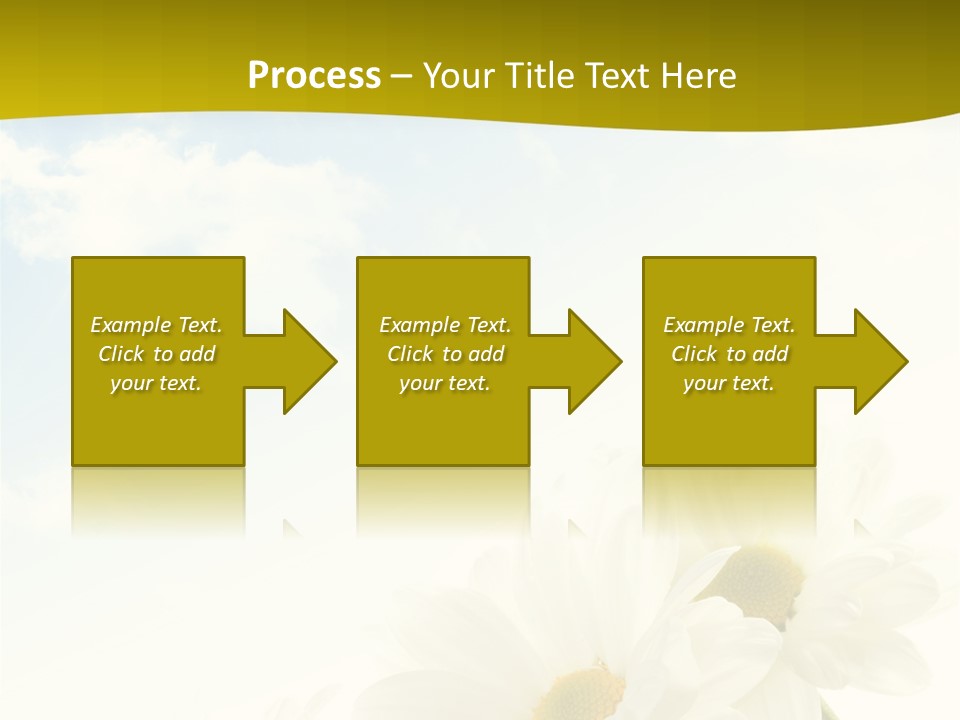 Scenery Health Chamomile PowerPoint Template
