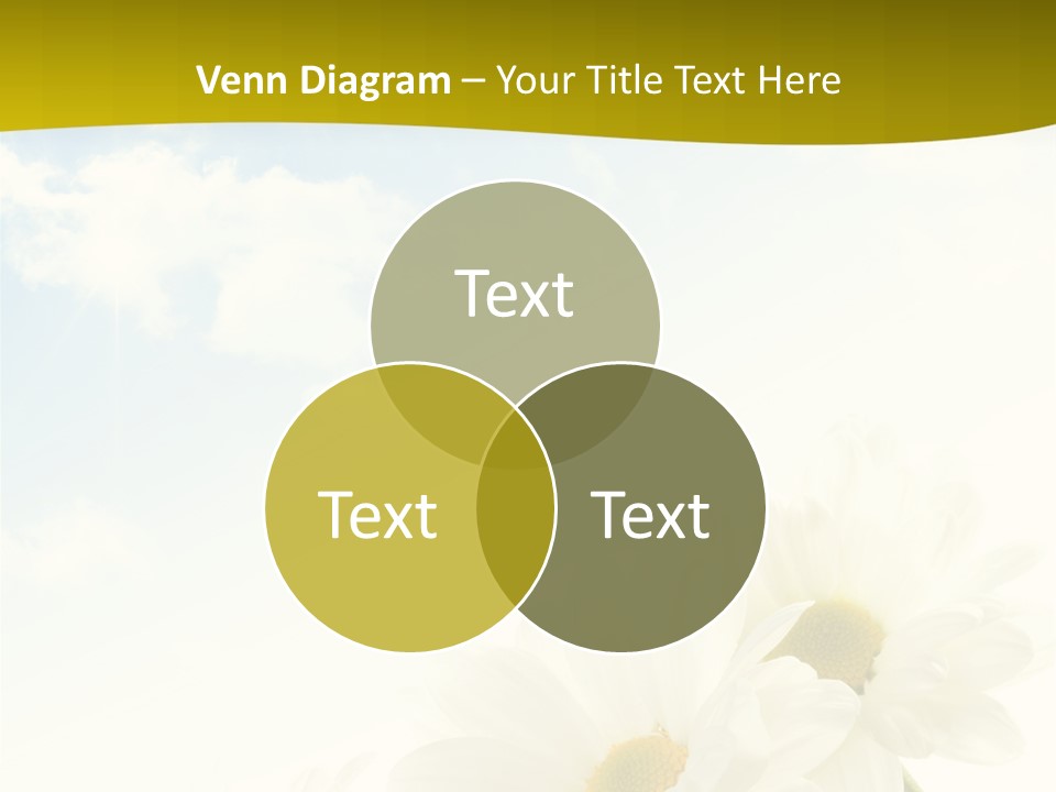 Scenery Health Chamomile PowerPoint Template