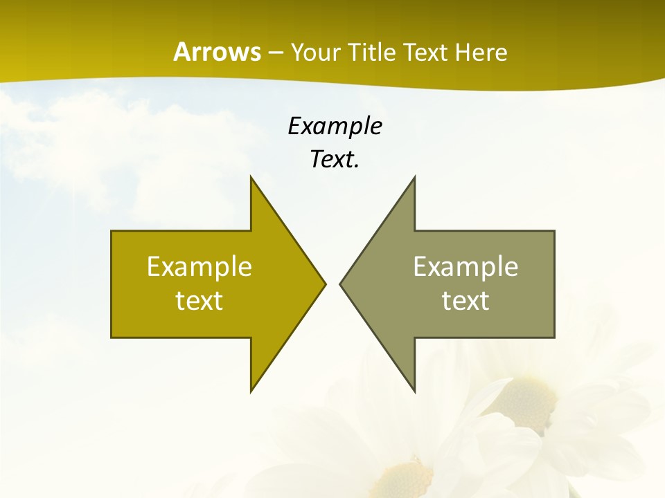 Scenery Health Chamomile PowerPoint Template