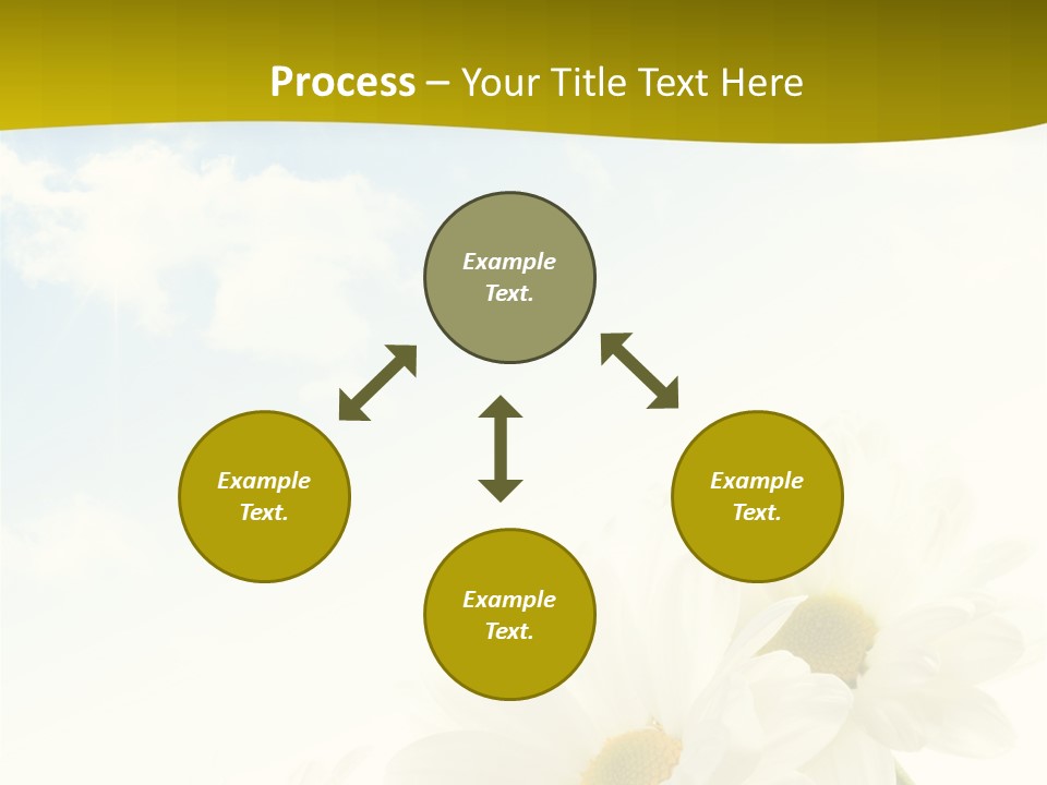 Scenery Health Chamomile PowerPoint Template