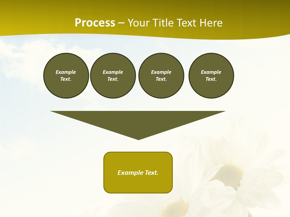 Scenery Health Chamomile PowerPoint Template