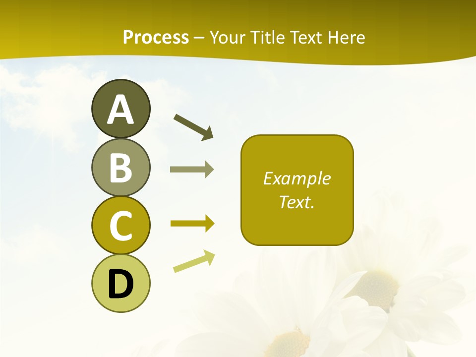 Scenery Health Chamomile PowerPoint Template