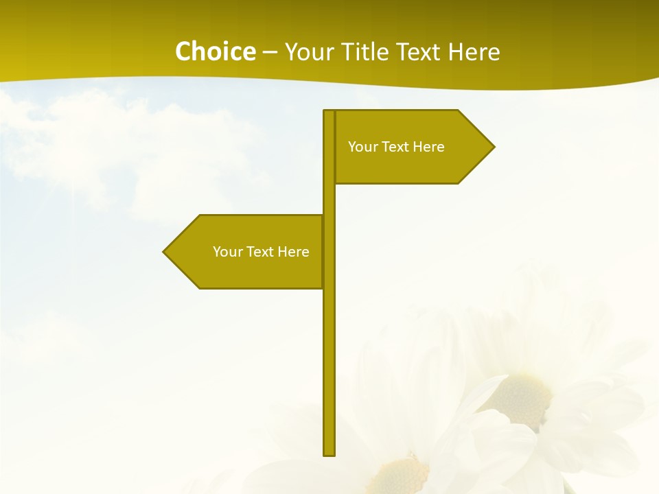 Scenery Health Chamomile PowerPoint Template