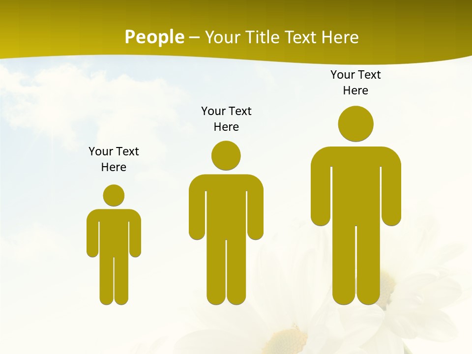 Scenery Health Chamomile PowerPoint Template