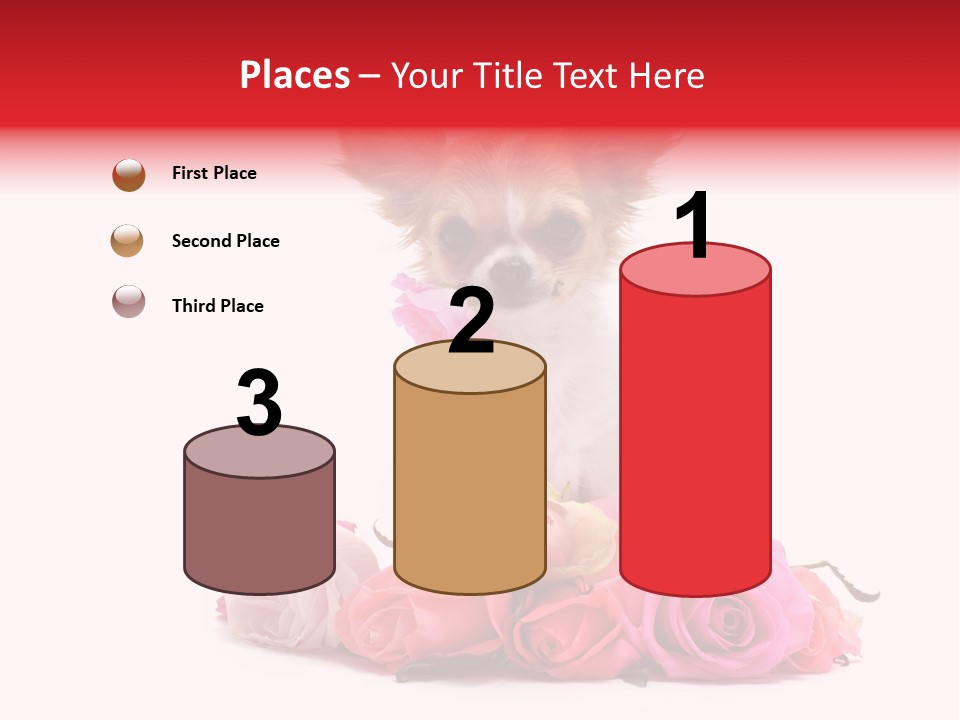 Purebred Cute White PowerPoint Template