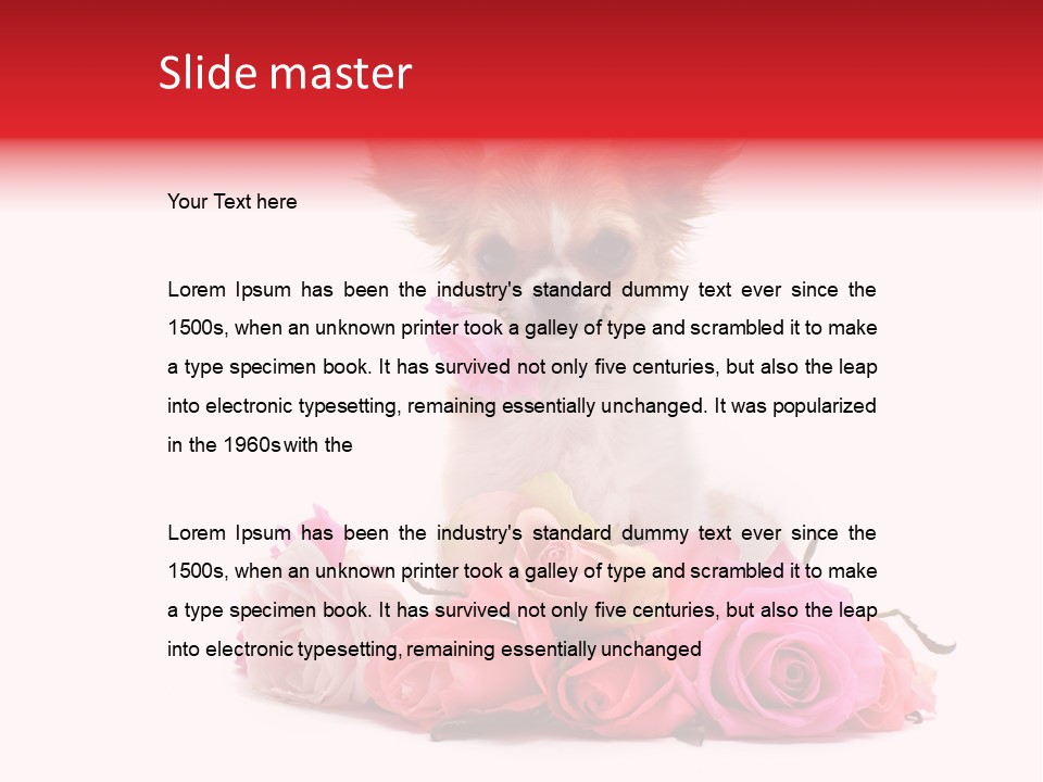 Purebred Cute White PowerPoint Template