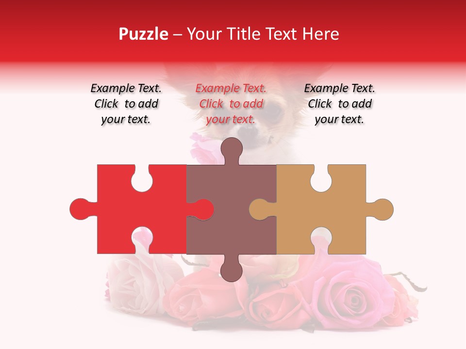 Purebred Cute White PowerPoint Template