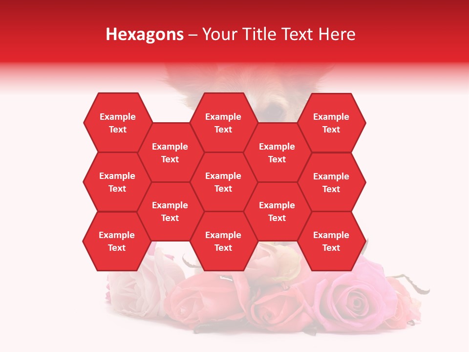 Purebred Cute White PowerPoint Template