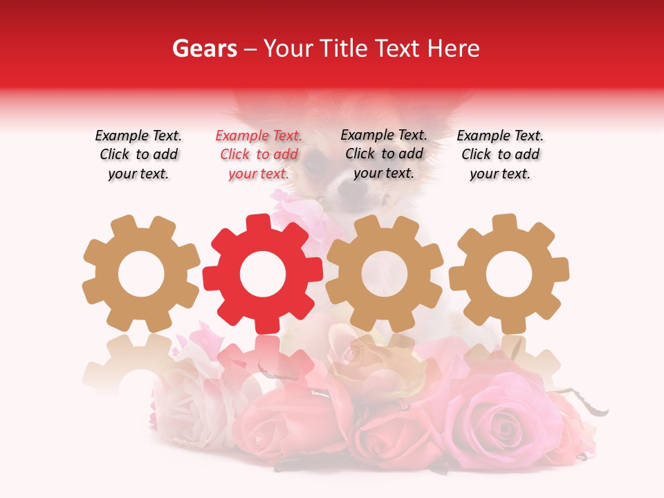 Purebred Cute White PowerPoint Template