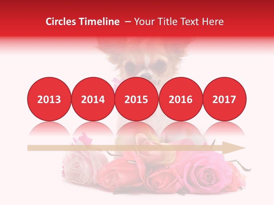 Purebred Cute White PowerPoint Template