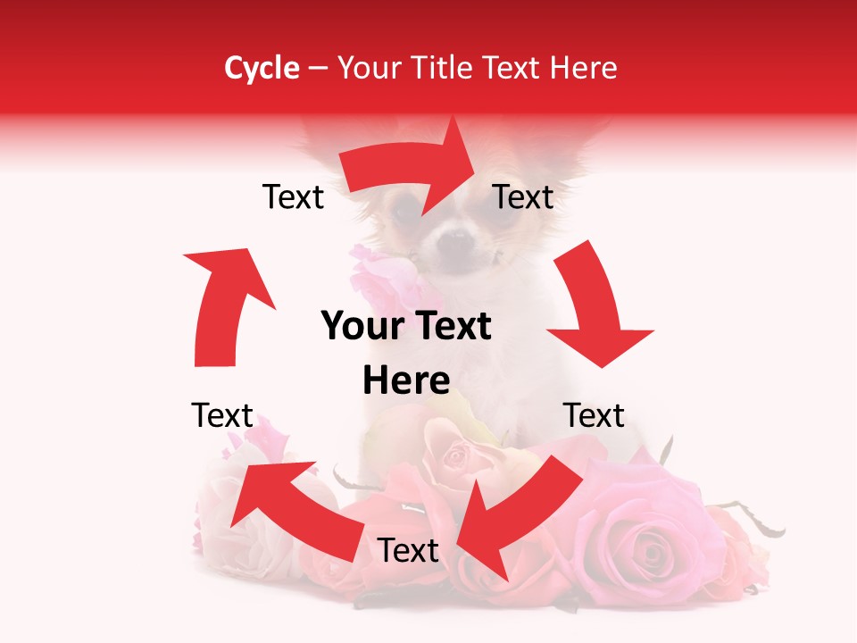 Purebred Cute White PowerPoint Template