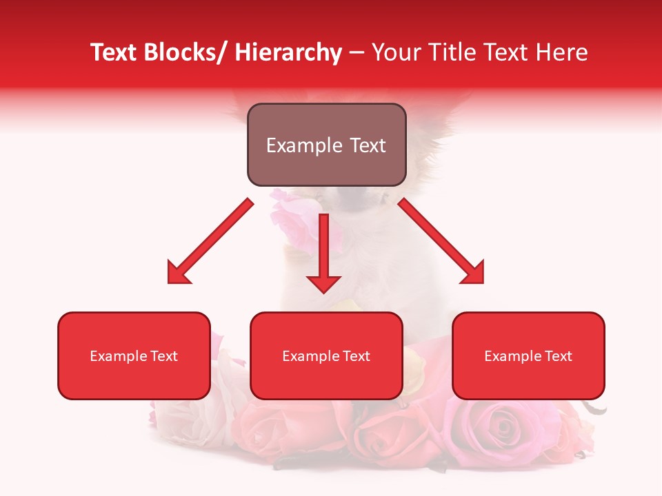 Purebred Cute White PowerPoint Template