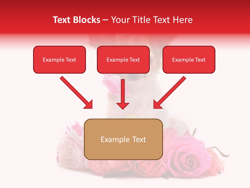 Purebred Cute White PowerPoint Template