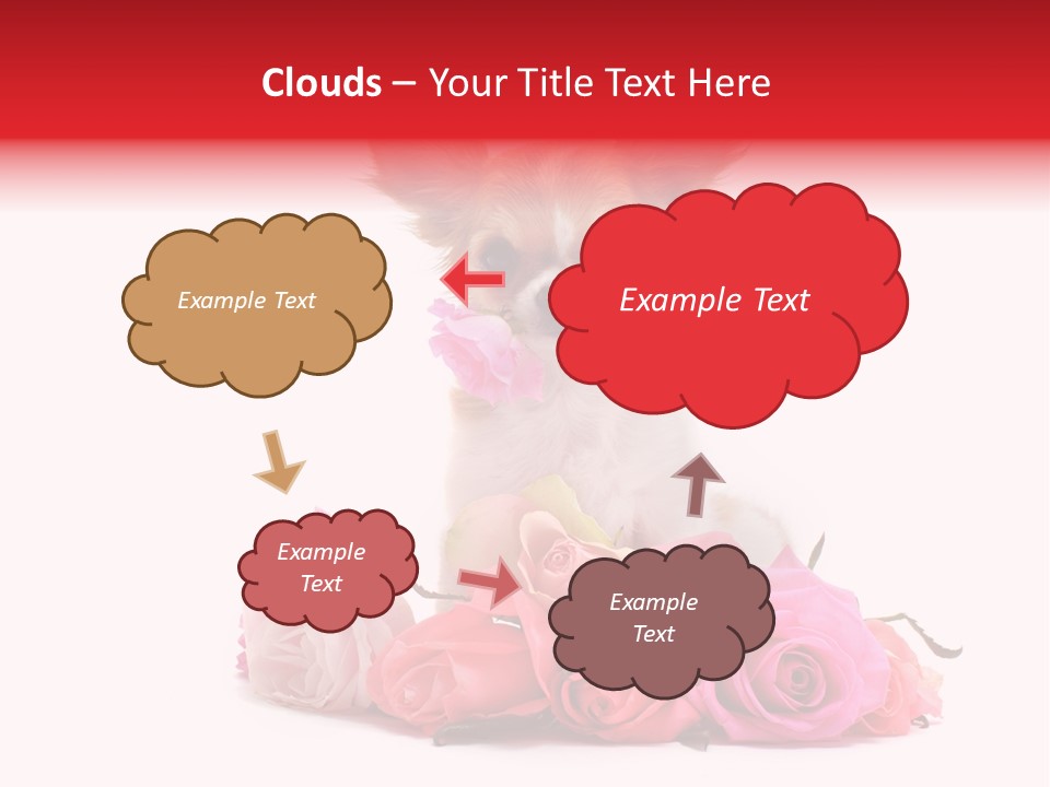 Purebred Cute White PowerPoint Template