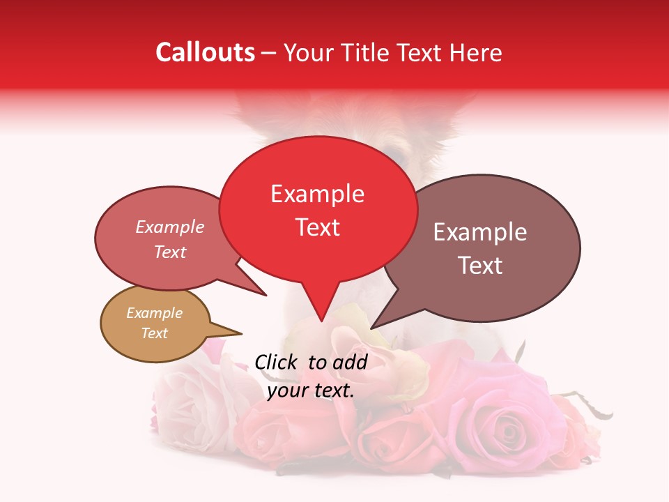 Purebred Cute White PowerPoint Template