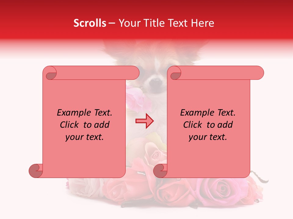 Purebred Cute White PowerPoint Template