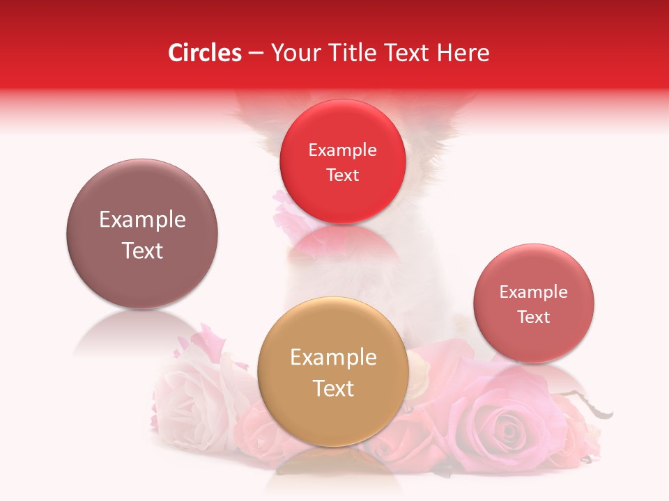 Purebred Cute White PowerPoint Template