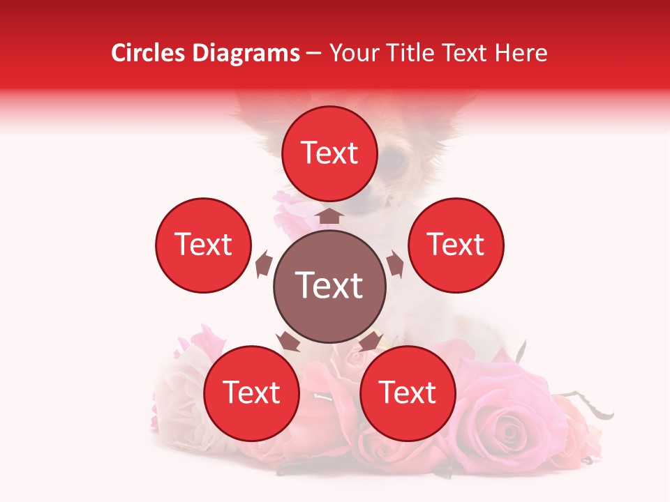 Purebred Cute White PowerPoint Template