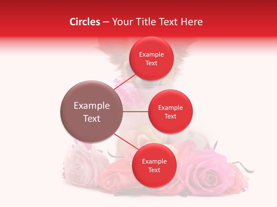 Purebred Cute White PowerPoint Template