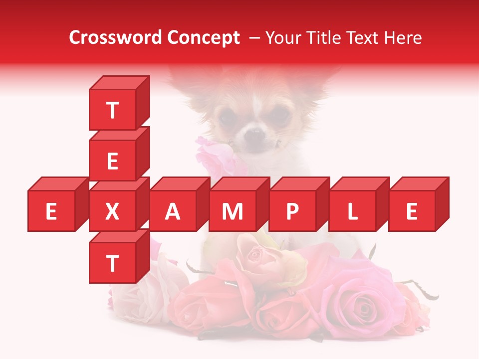 Purebred Cute White PowerPoint Template