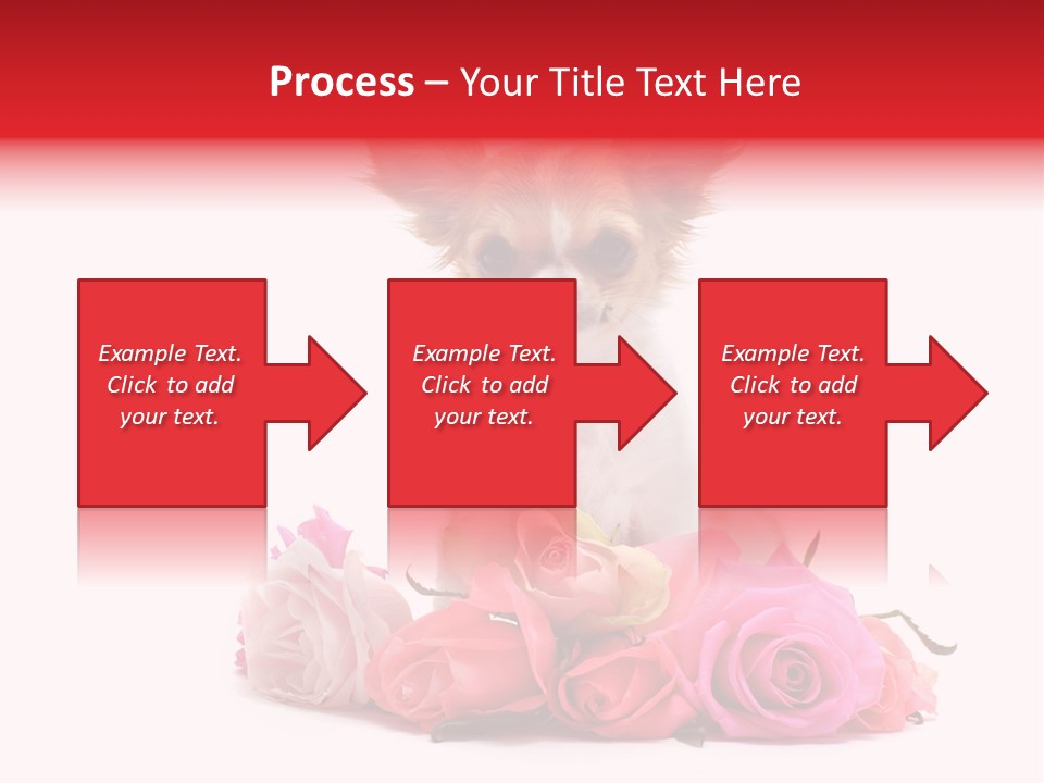 Purebred Cute White PowerPoint Template