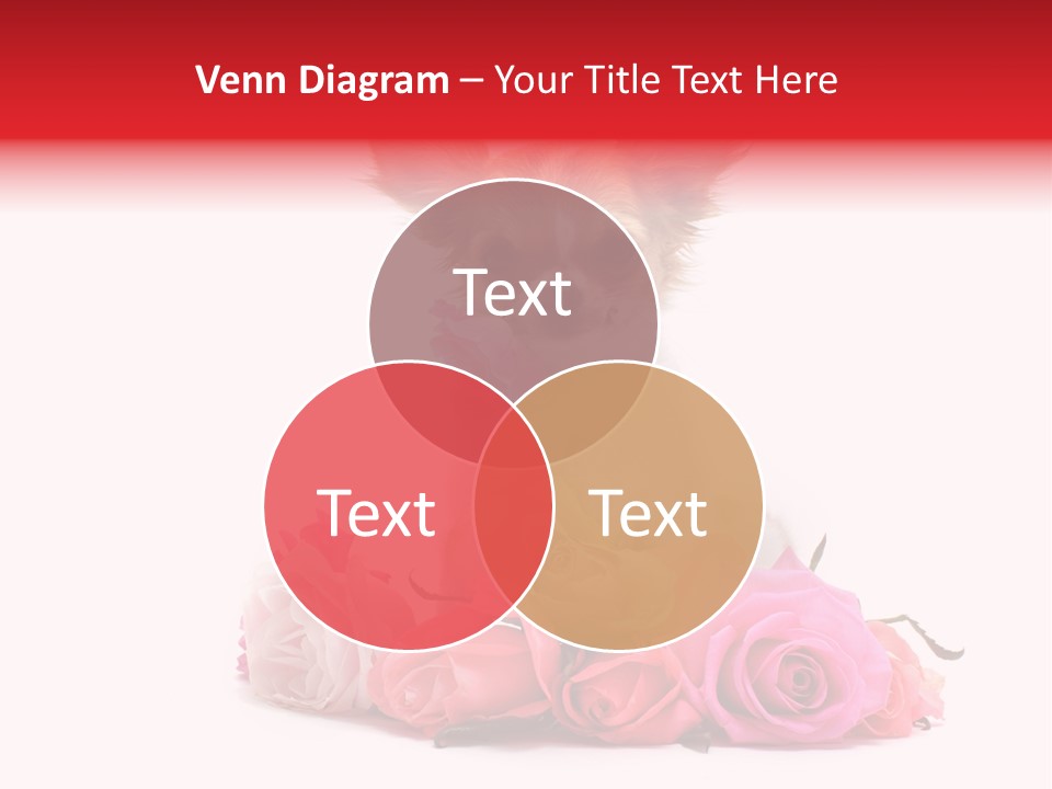 Purebred Cute White PowerPoint Template