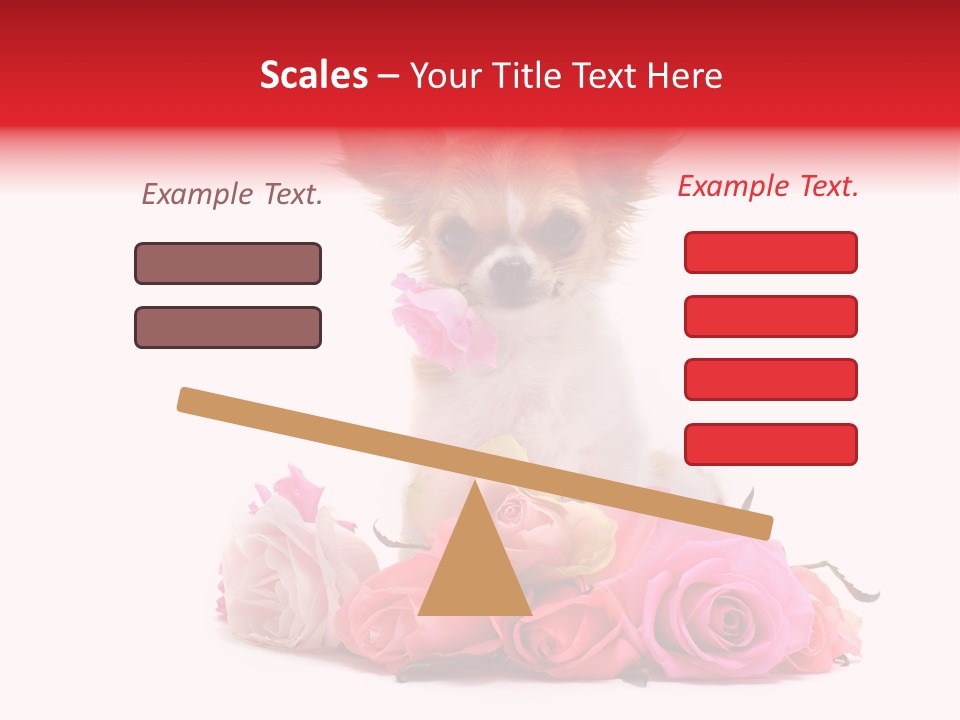 Purebred Cute White PowerPoint Template