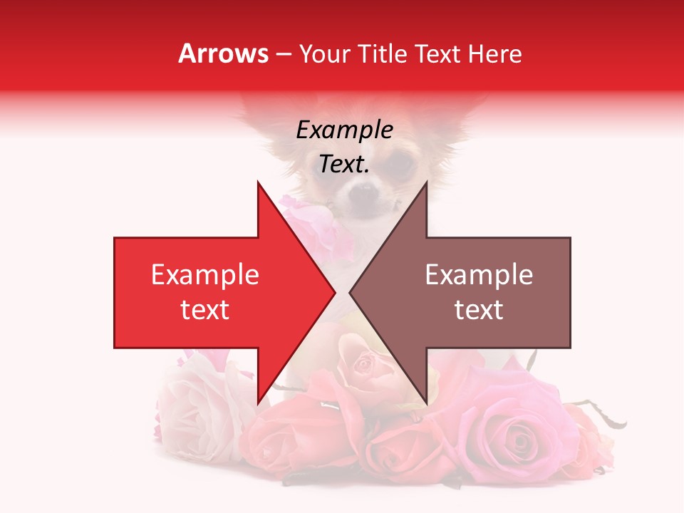 Purebred Cute White PowerPoint Template