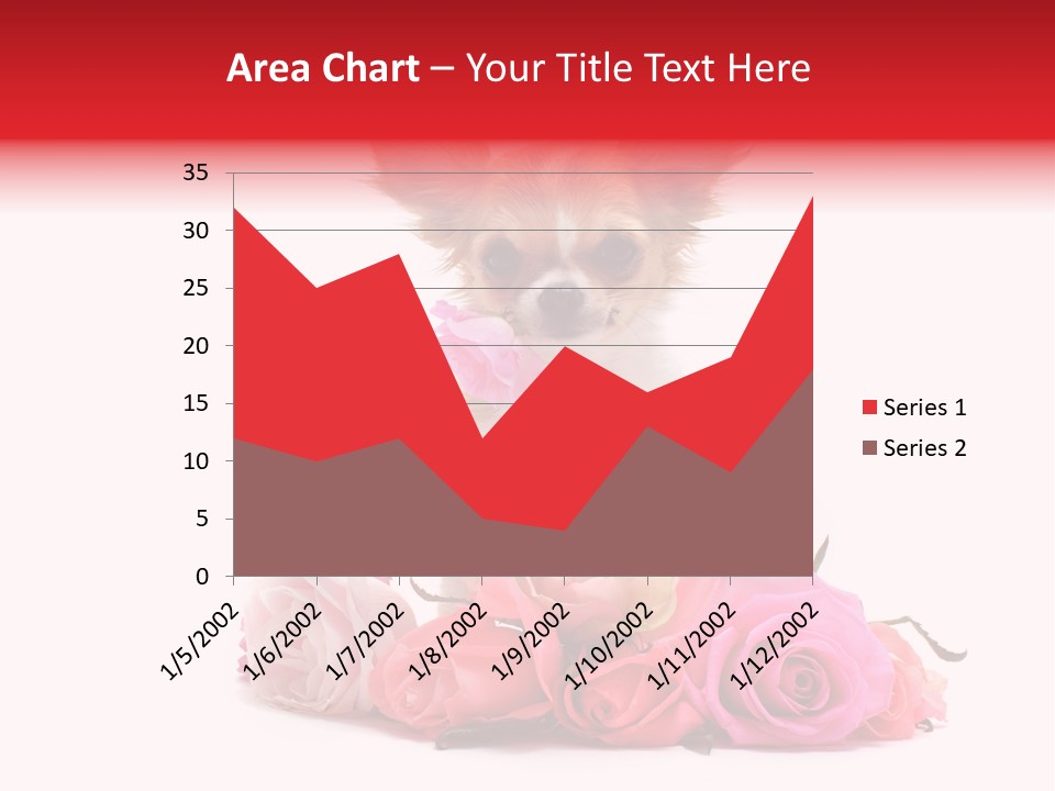 Purebred Cute White PowerPoint Template