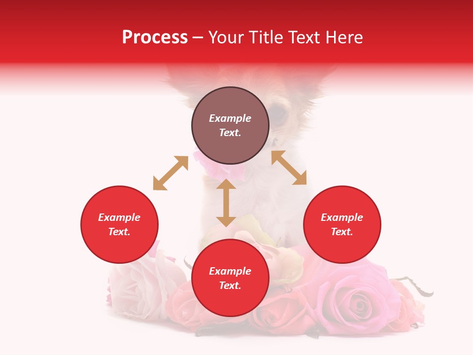 Purebred Cute White PowerPoint Template