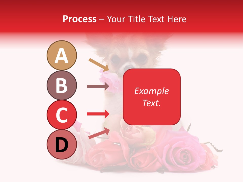 Purebred Cute White PowerPoint Template