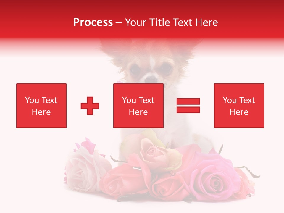 Purebred Cute White PowerPoint Template