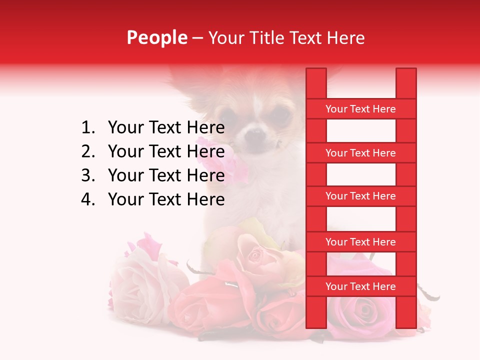 Purebred Cute White PowerPoint Template