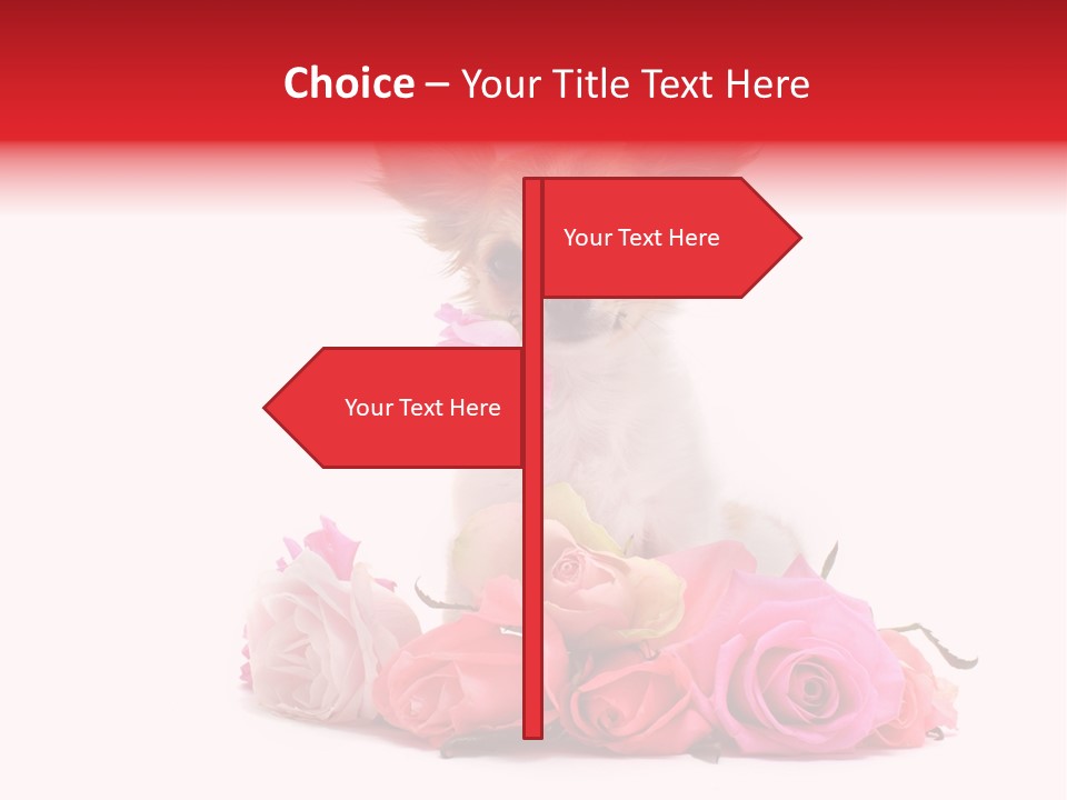 Purebred Cute White PowerPoint Template