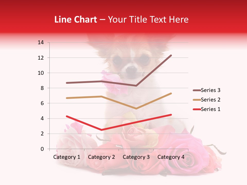 Purebred Cute White PowerPoint Template