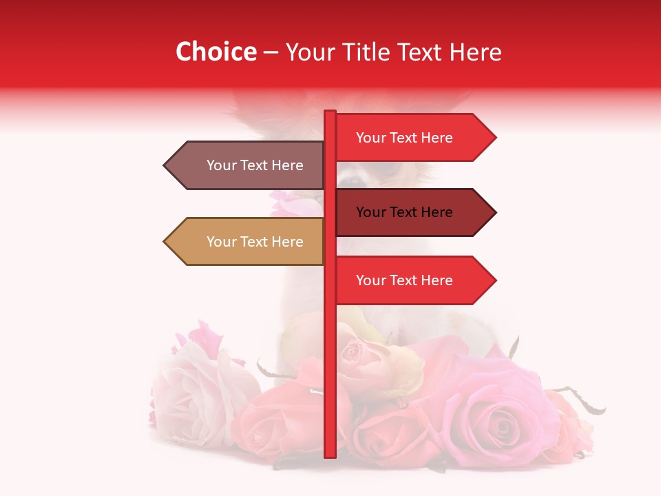 Purebred Cute White PowerPoint Template