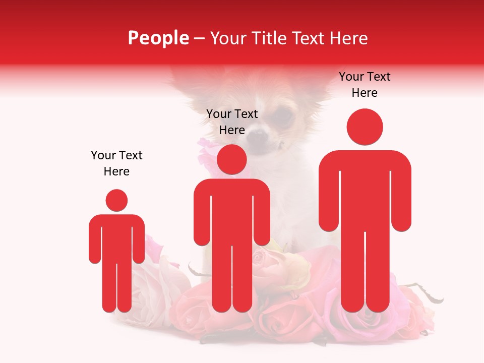 Purebred Cute White PowerPoint Template